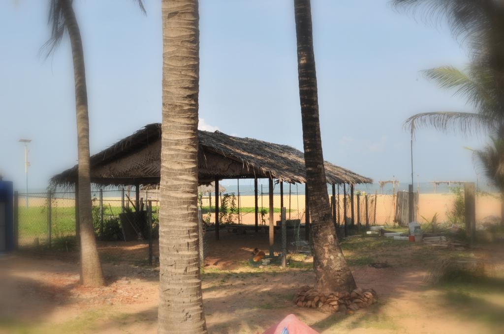 Tms Beach House Negombo Ngoại thất bức ảnh